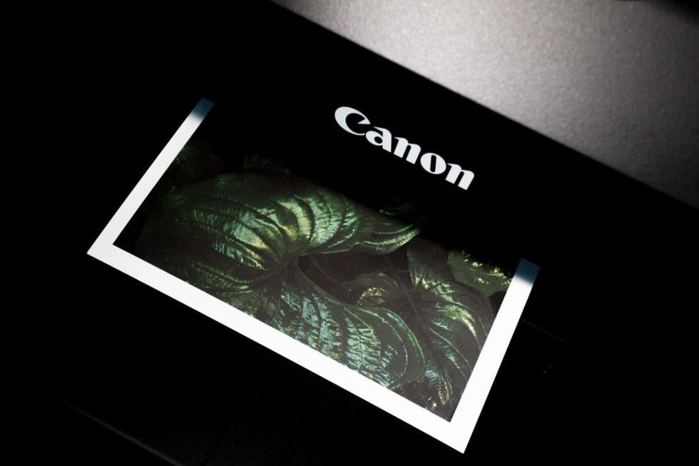 Canon Error 5200 – Everything You Need To Know (Causes and Solutions)